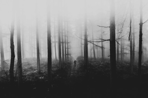 云宫迅音的原版女高音歌手有考据是哪位歌手吗-